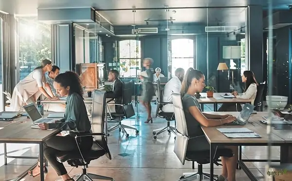 comfortable co-work place