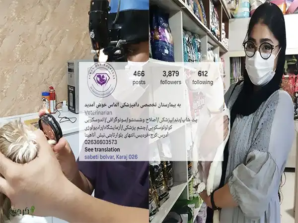کلینیک دامپزشکی الماس