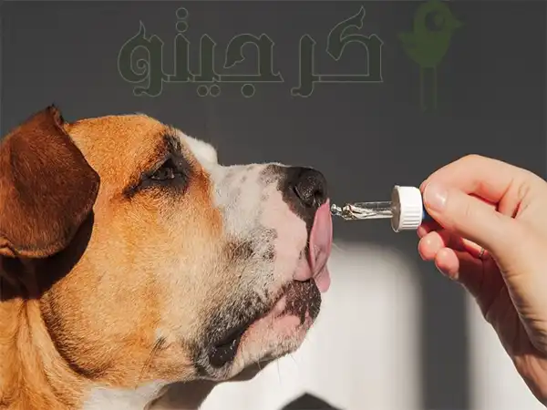 تعرفه خدمات دامپزشکی در کرج 1404