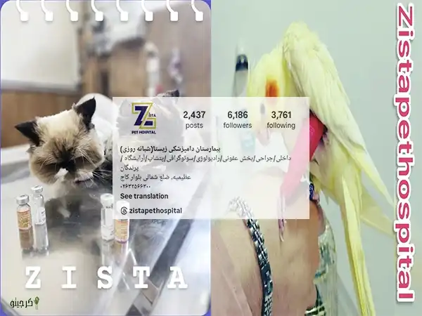 بیمارستان دامپزشکی شبانه روزی زیستا