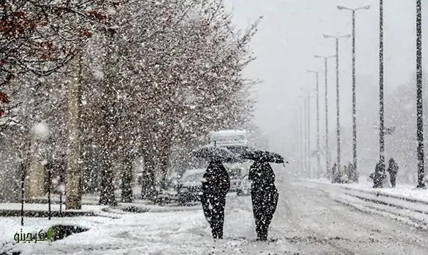 کرج در برف