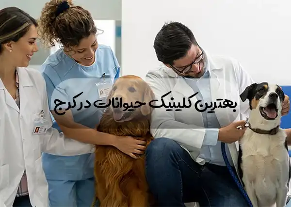 کلینیک دامپزشکی در کرج